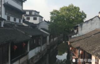 逗小猴开心系列198